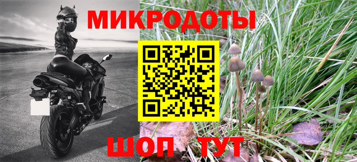 Галлюциногенные грибы MAGIC MUSHROOMS Слободской