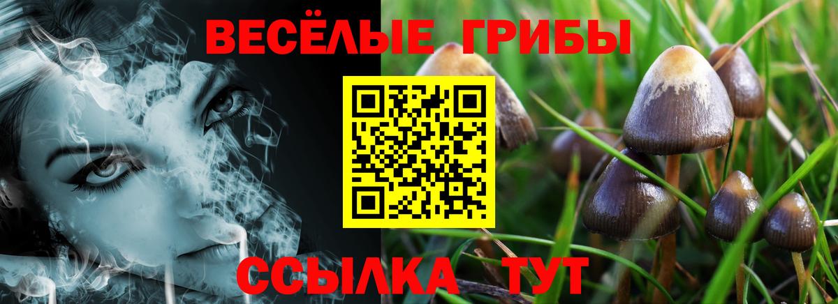 Галлюциногенные грибы мухоморы  Псилоцибиновые грибы Psilocybe  Вход с VPN  Слободской 